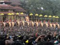 thrissur-pooram-2013-2 (10)